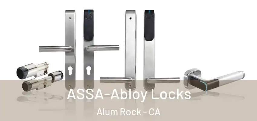  ASSA-Abloy Locks Alum Rock - CA