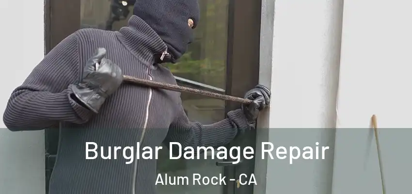  Burglar Damage Repair Alum Rock - CA