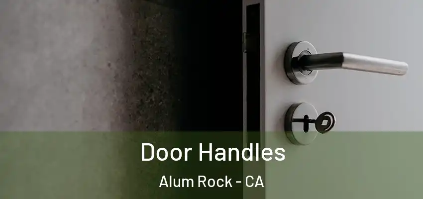  Door Handles Alum Rock - CA