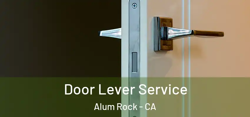  Door Lever Service Alum Rock - CA