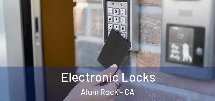  Electronic Locks Alum Rock - CA