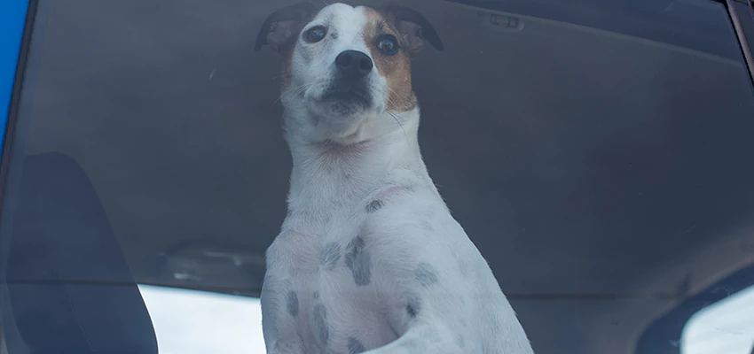 Car Lockout Solutions in Alum Rock, California