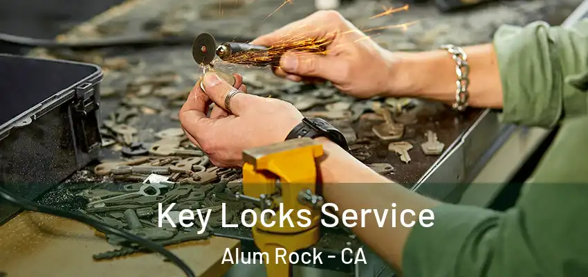  Key Locks Service Alum Rock - CA