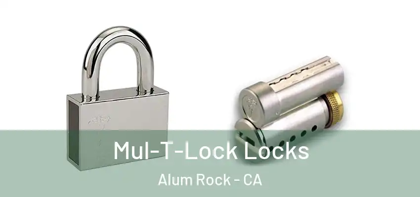  Mul-T-Lock Locks Alum Rock - CA