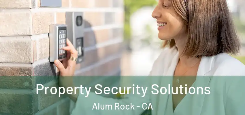  Property Security Solutions Alum Rock - CA